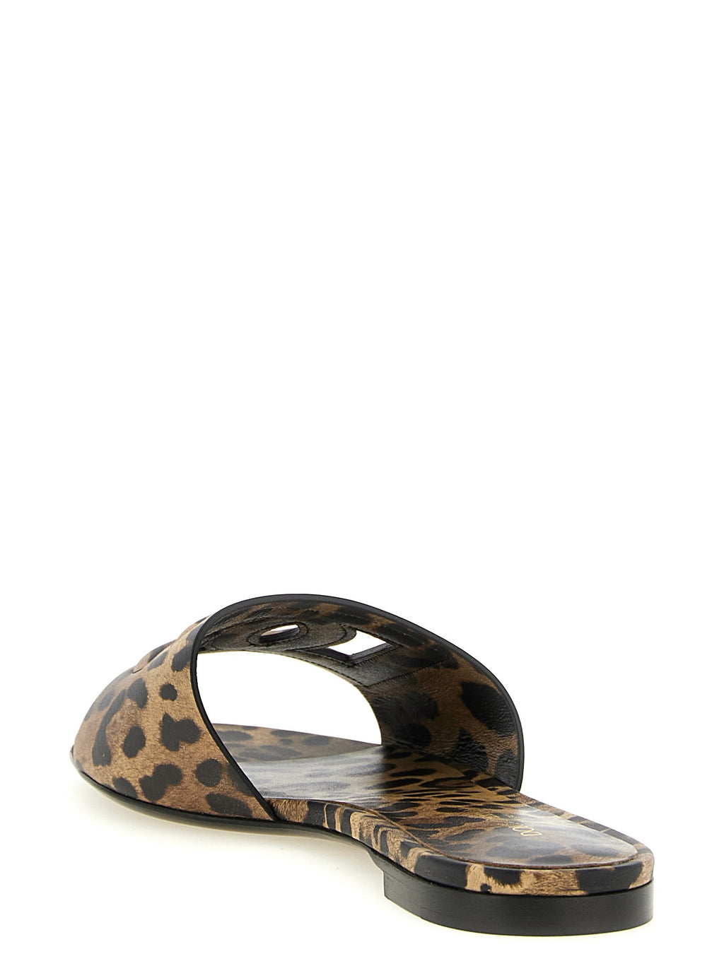 'Bianca' slides 3