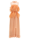 Chiffon and feather dress