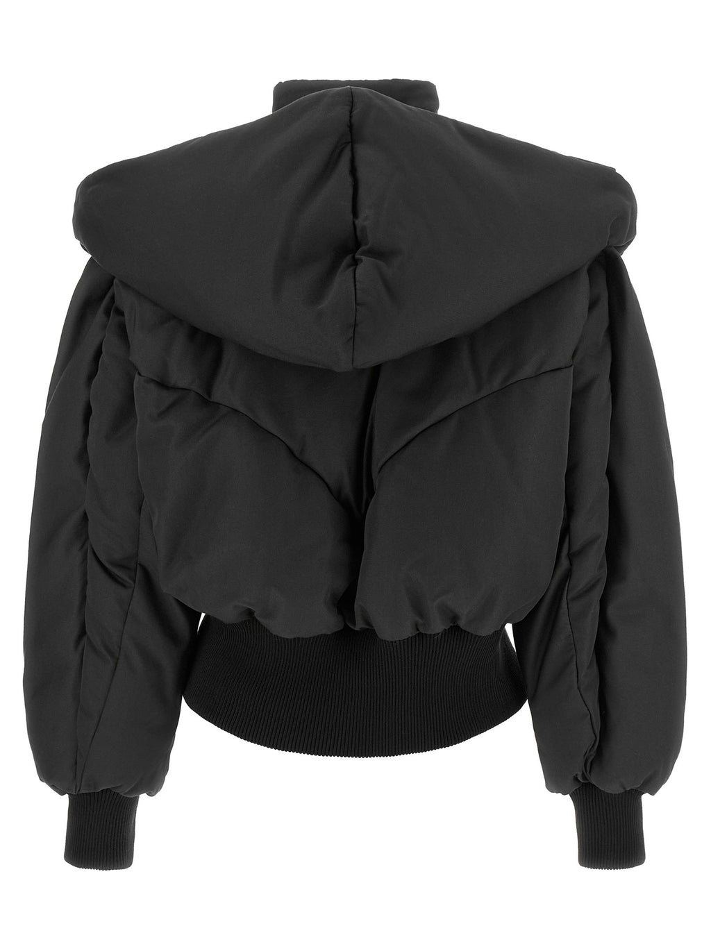 Convertible neck down jacket 2