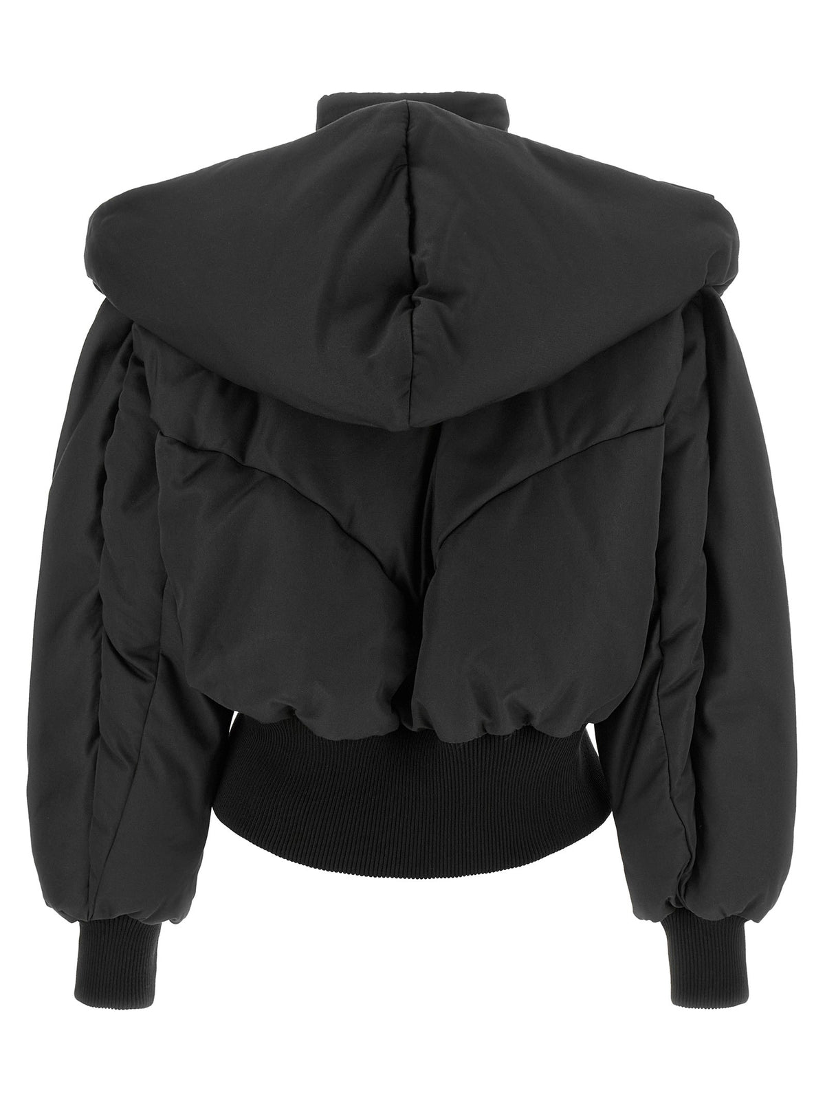 Convertible neck down jacket 2