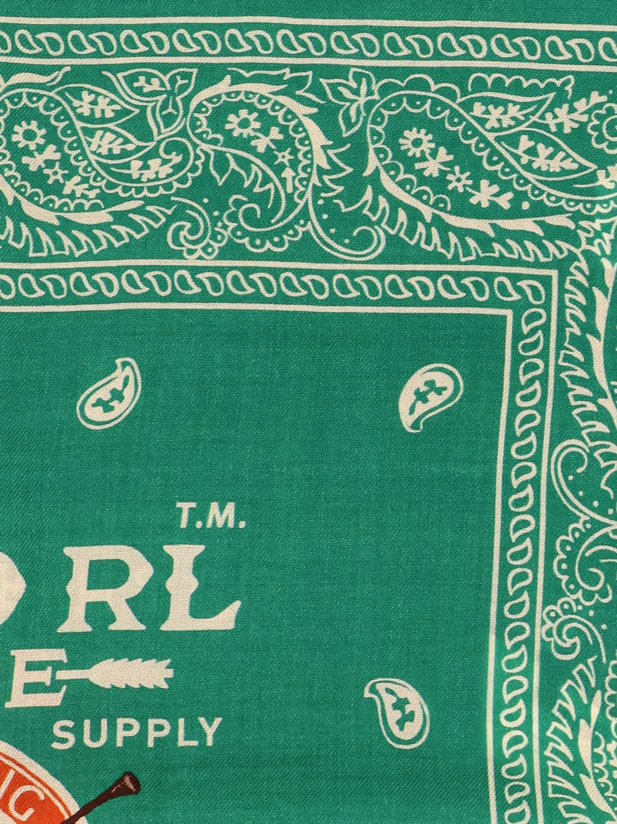 Cotton scarf with paisley print 2
