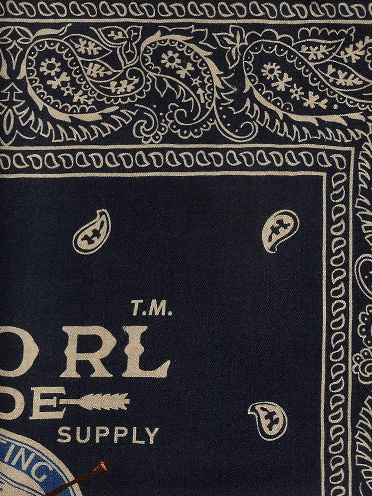 Cotton scarf with paisley print 2