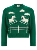 Extrafine wool sweater