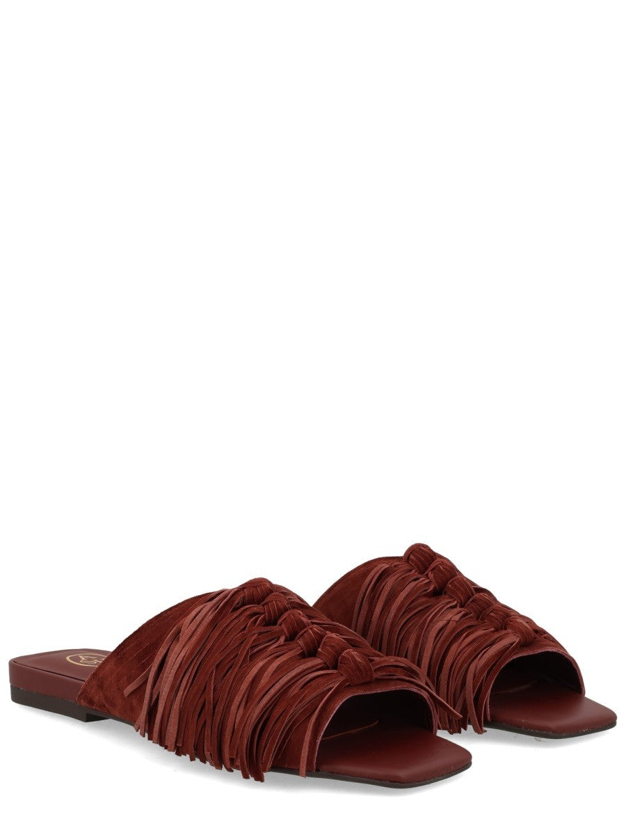 MULE "BRIGITTE" 2