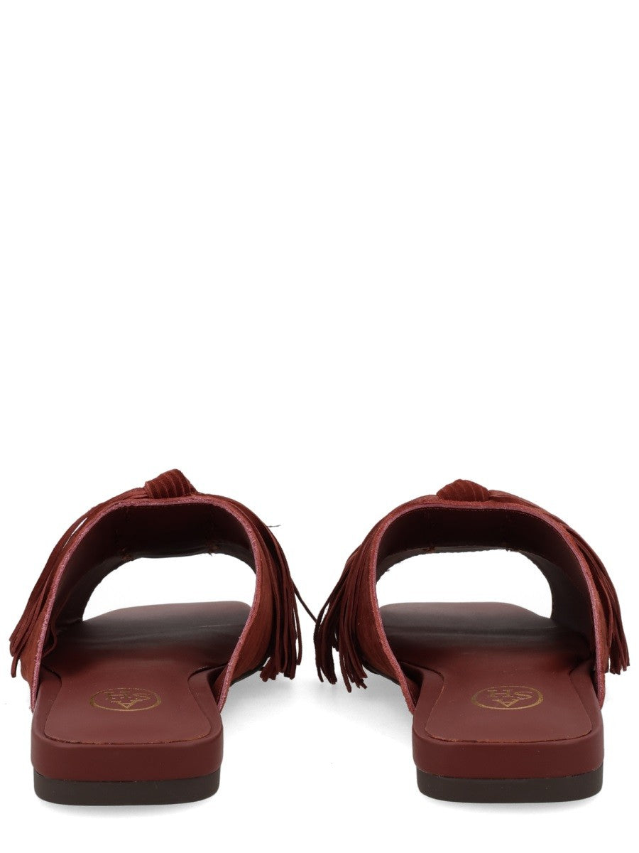 MULE "BRIGITTE" 4