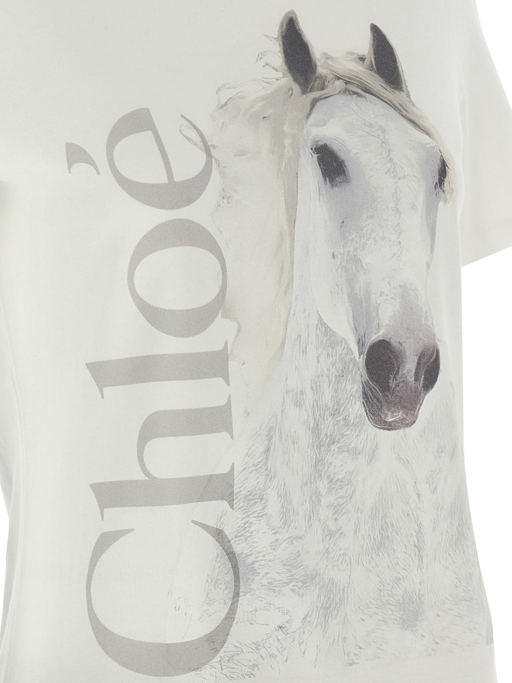 Printed T-shirt 4