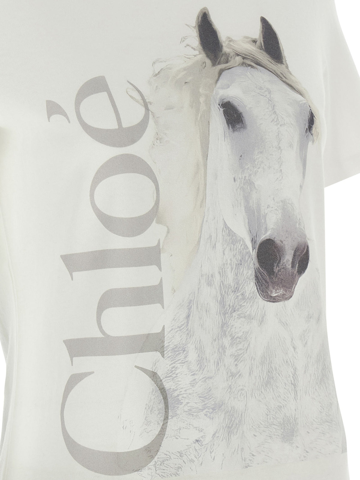Printed T-shirt 4