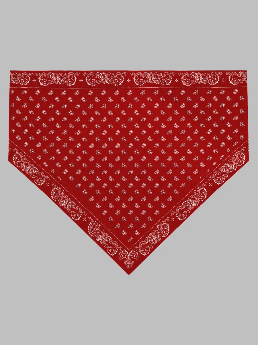 sciarpa "the wild rag" 2