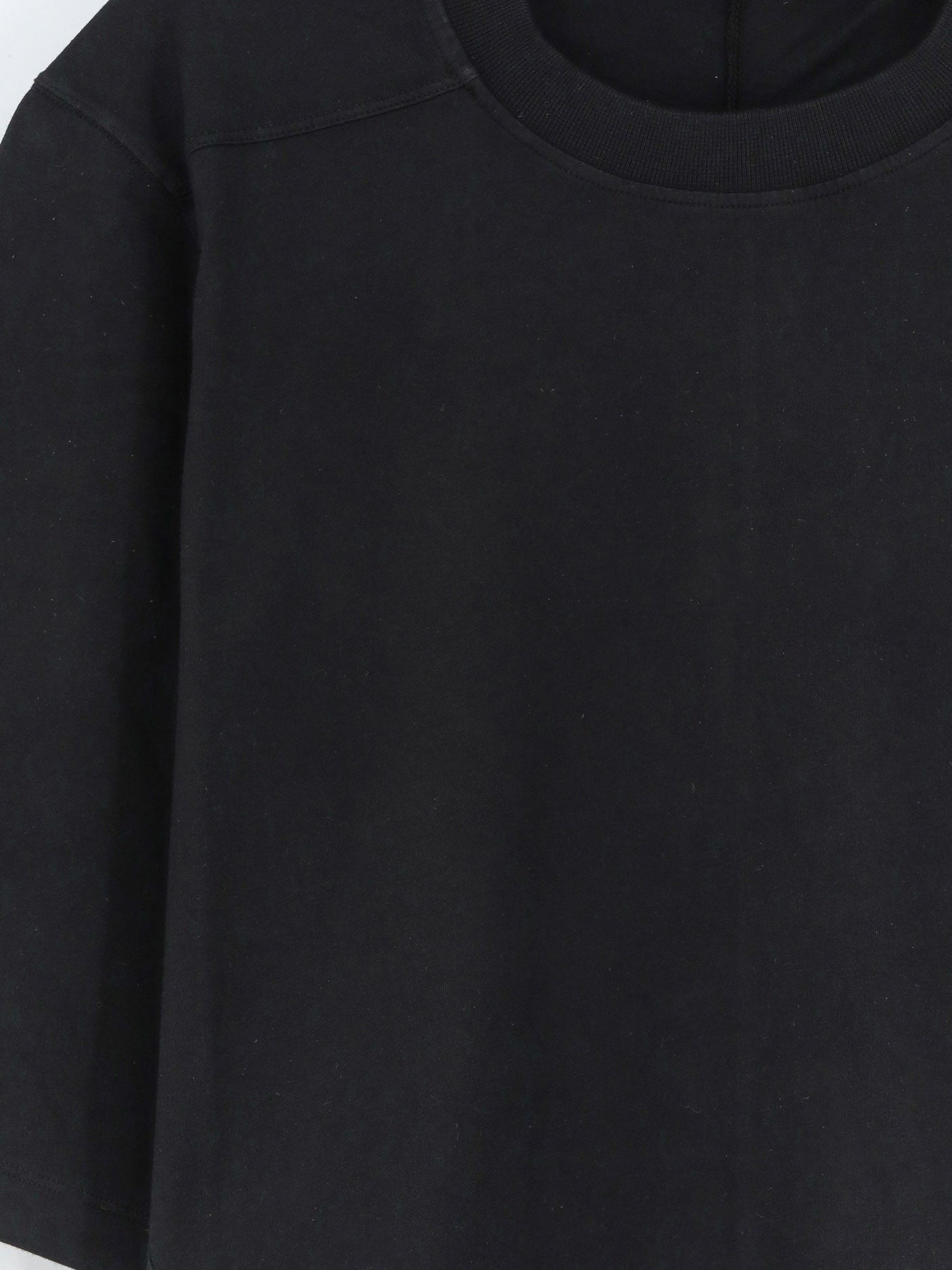Walrus Cotton T-Shirt 3